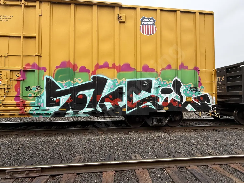 UP701706 - NORTH-AMERICA