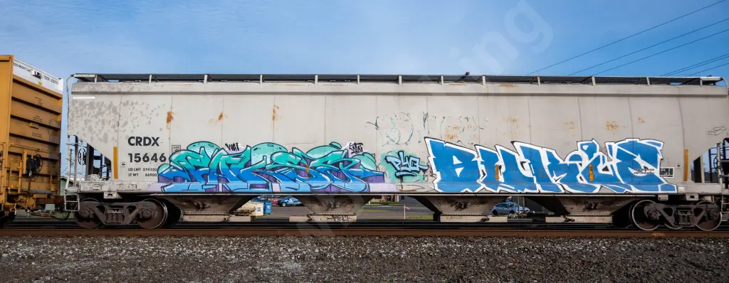 CRDX15646 - NORTH-AMERICA