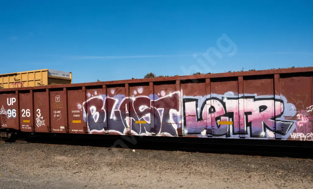 UP96263 - NORTH-AMERICA