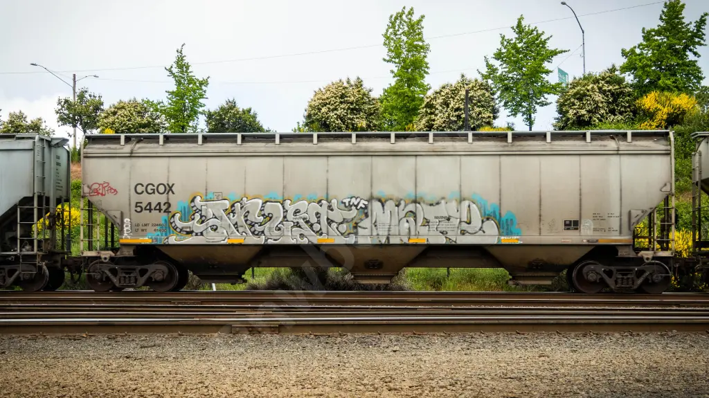 CGOX5442 - NORTH-AMERICA