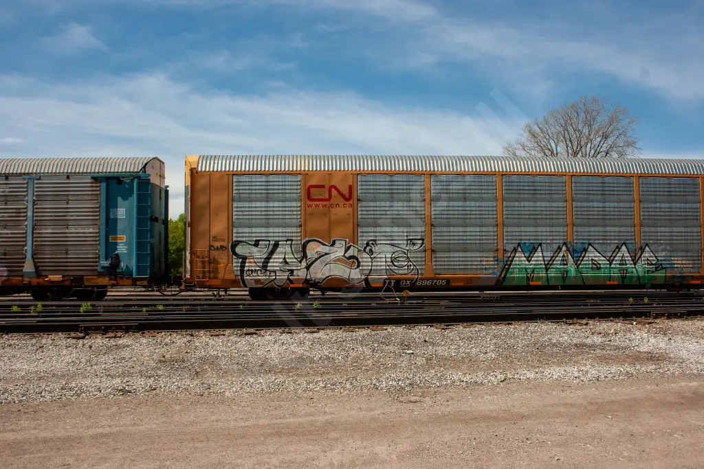 TTGX696705 - NORTH-AMERICA