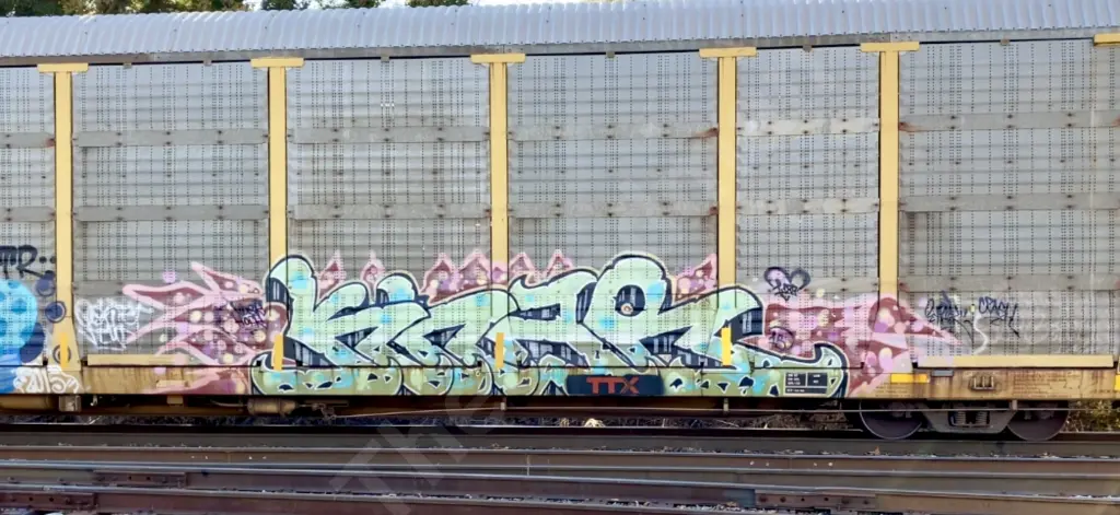 TTGX994006 - NORTH-AMERICA
