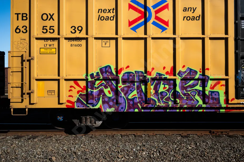 Train photo