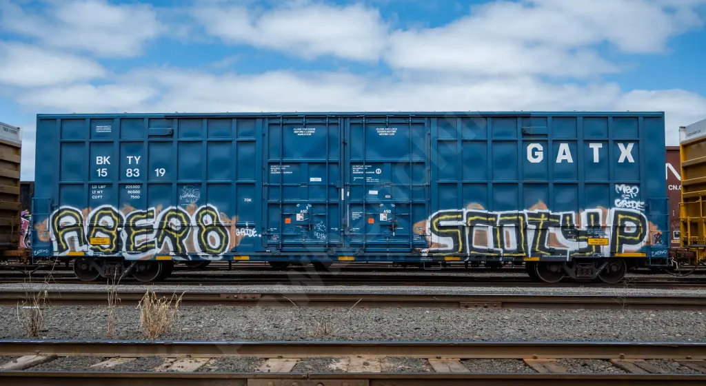 BKTY158319 - NORTH-AMERICA