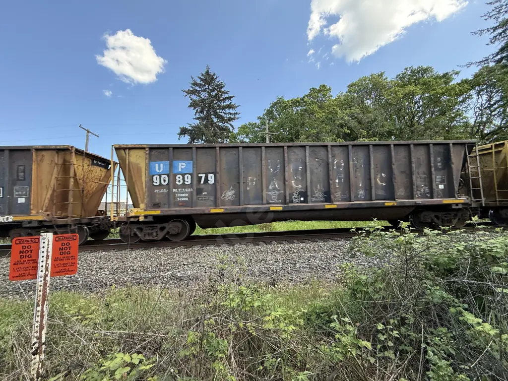UP908979 - NORTH-AMERICA