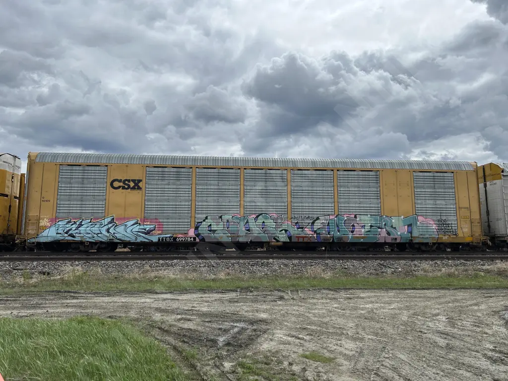 TTGX699784 - NORTH-AMERICA