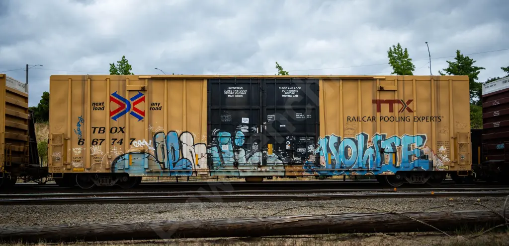 TBOX667747 - NORTH-AMERICA