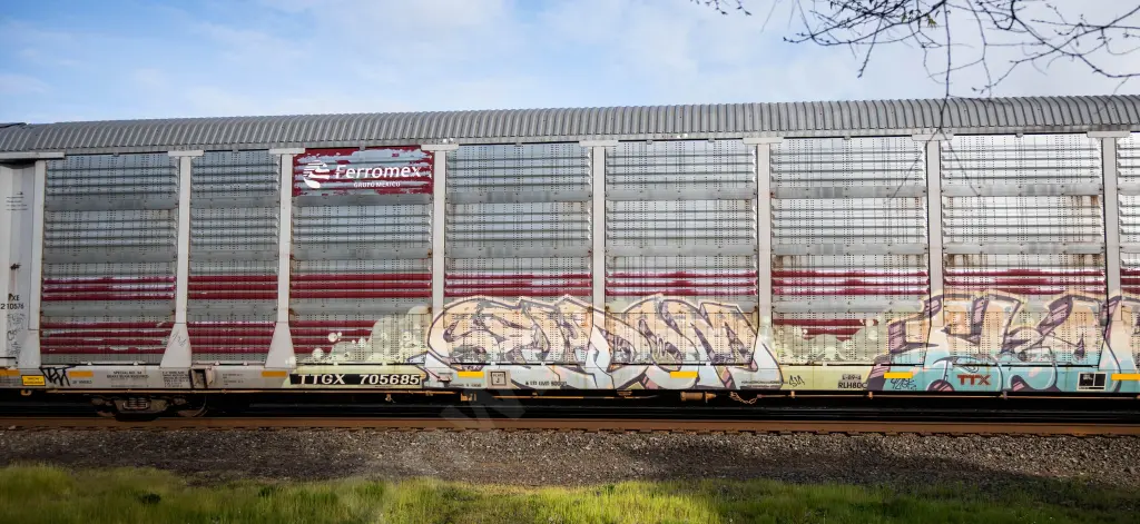 TTGX705685 - NORTH-AMERICA