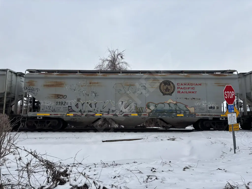SOO119266 - NORTH-AMERICA