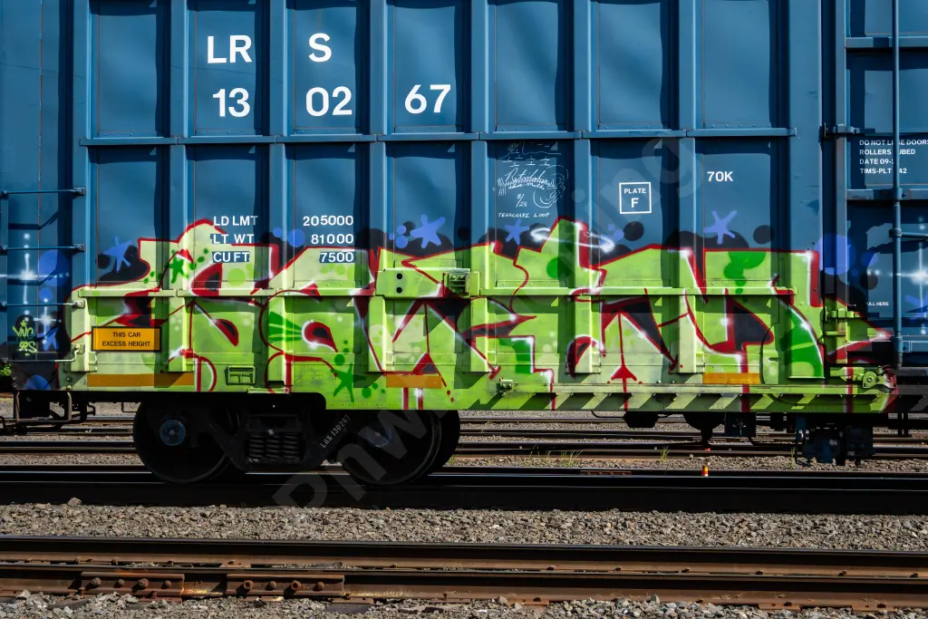LRS130267 - NORTH-AMERICA