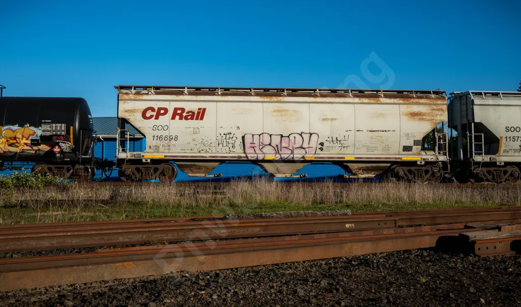 SOO116698 - NORTH-AMERICA