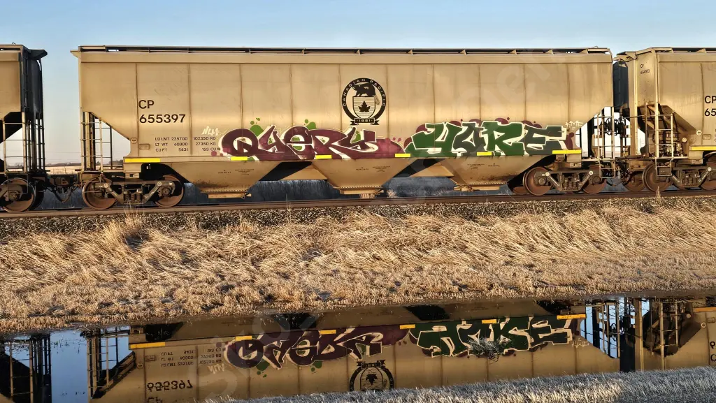 CP655397 - NORTH-AMERICA