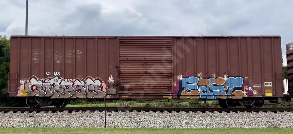 CIBX100537 - NORTH-AMERICA