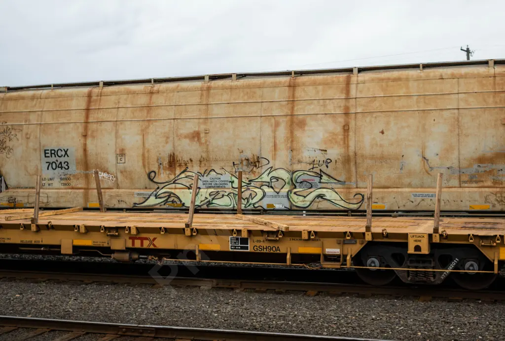 ERCX7043 - NORTH-AMERICA