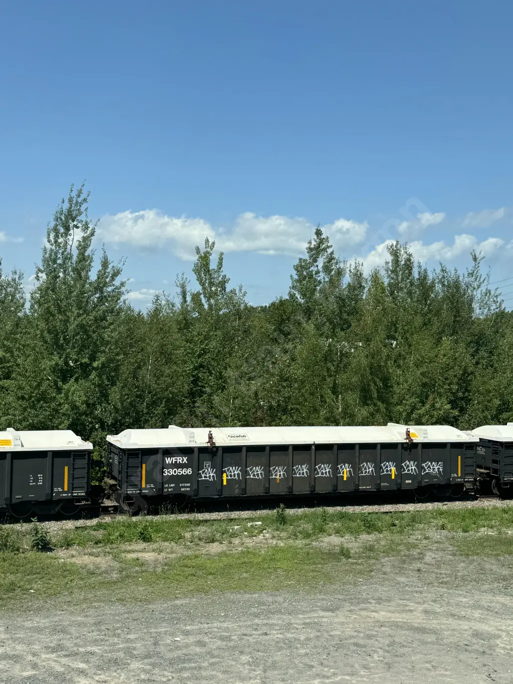 WFRX330566 - NORTH-AMERICA