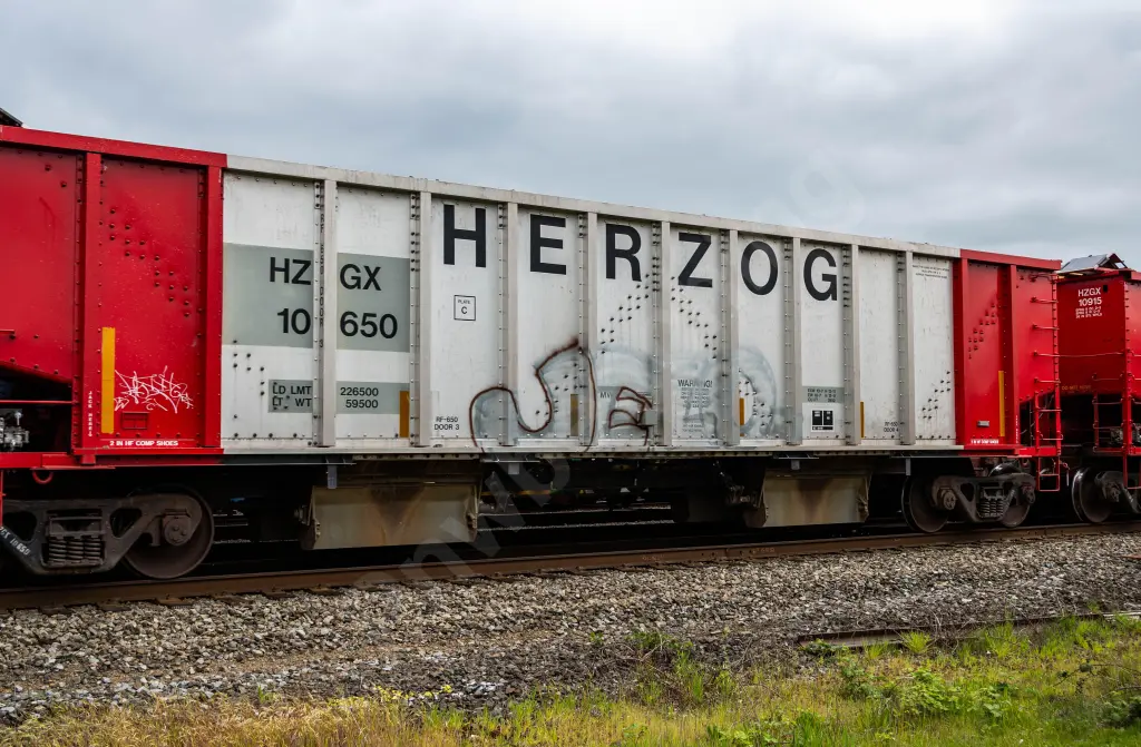 HZGX10650 - NORTH-AMERICA