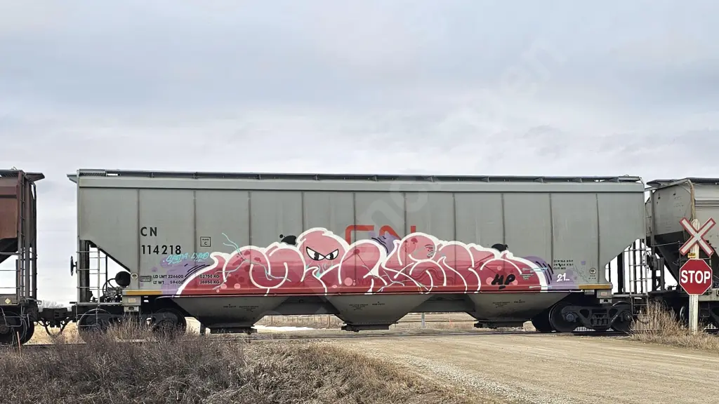 CN114218 - NORTH-AMERICA