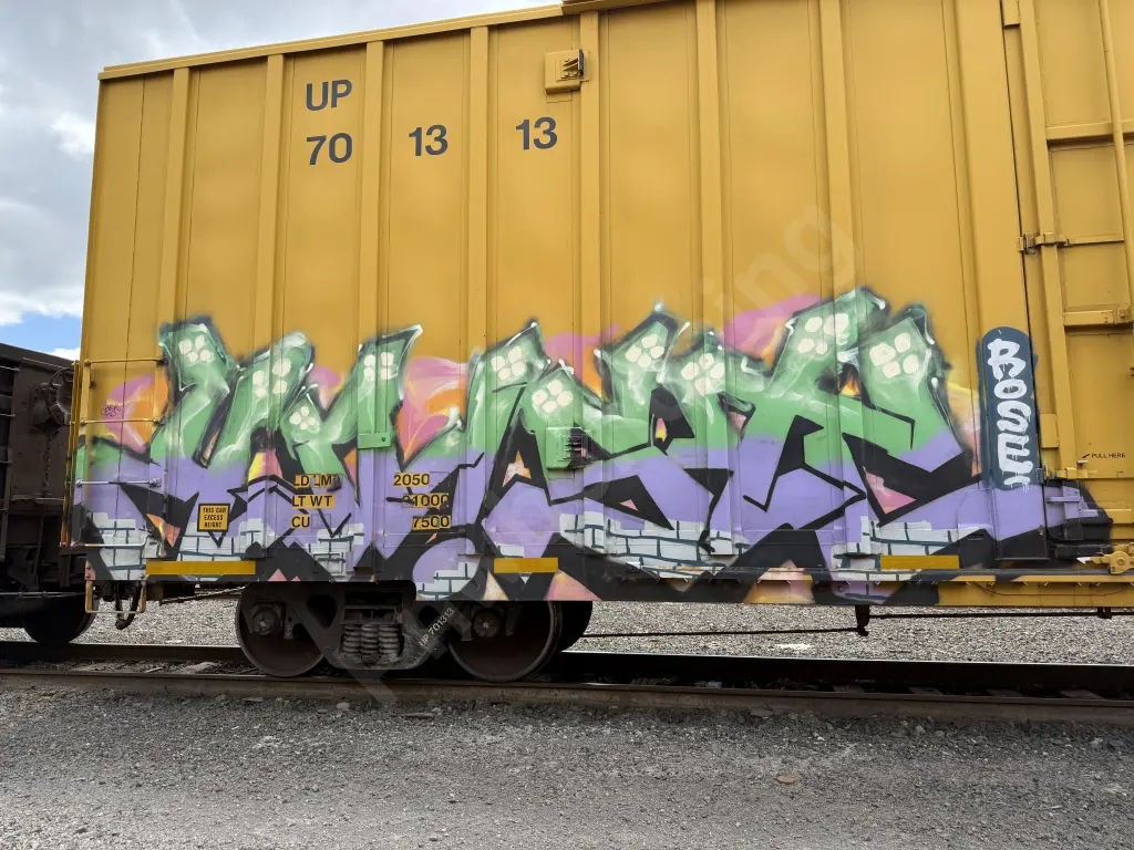 UP701313 - NORTH-AMERICA