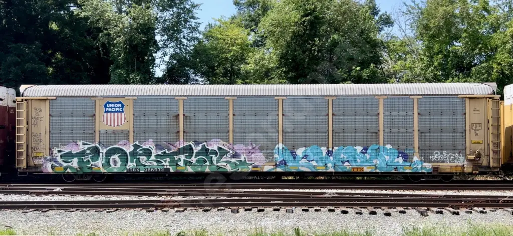 TTGX986572 - NORTH-AMERICA