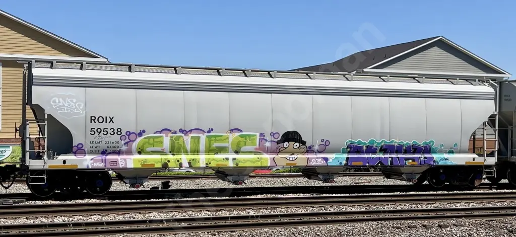 ROIX59538 - NORTH-AMERICA