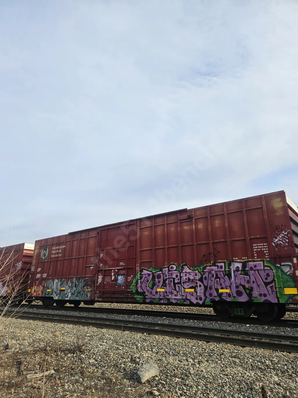 CP220123 - NORTH-AMERICA
