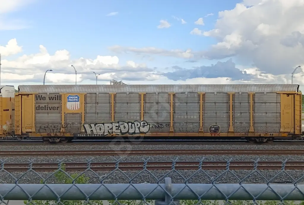TTGX975087 - NORTH-AMERICA