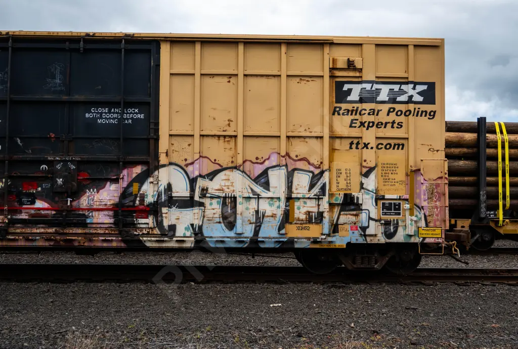 FBOX505071 - NORTH-AMERICA