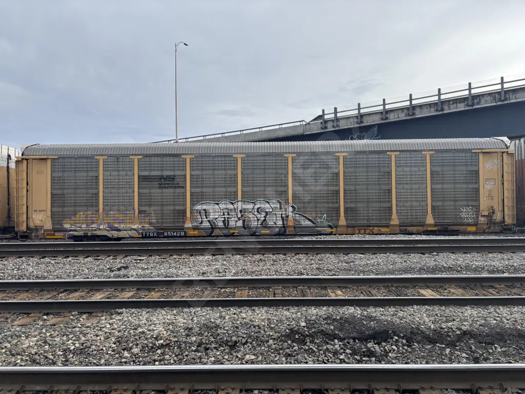 TTGX851429 - NORTH-AMERICA