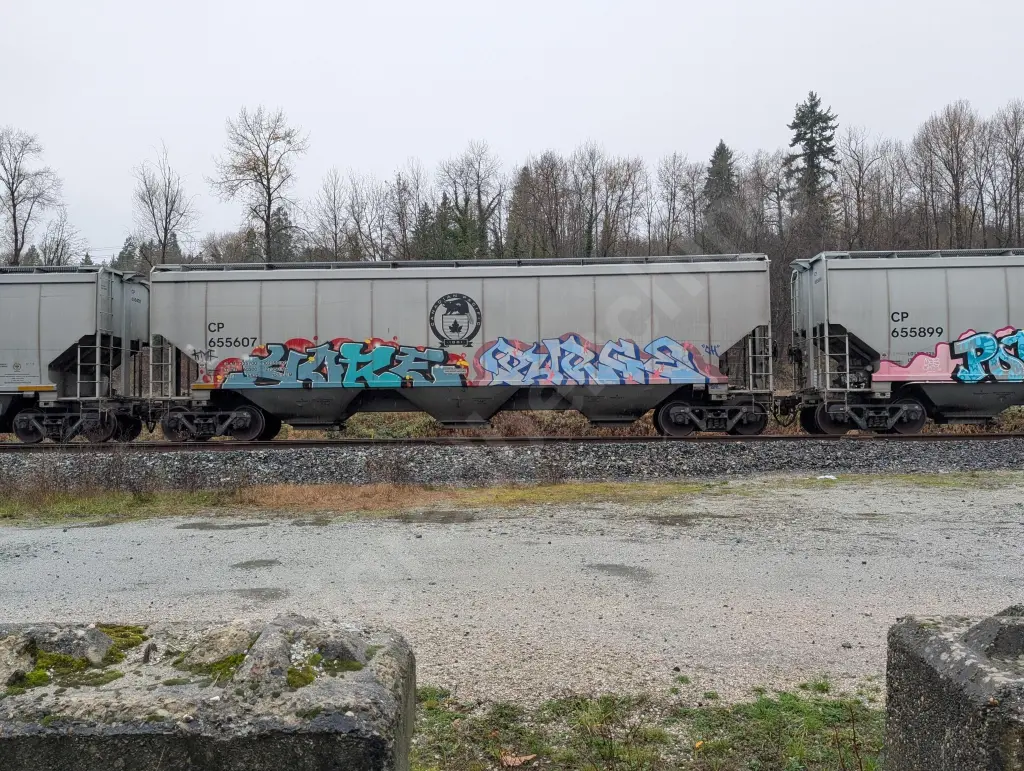 CP655607 - NORTH-AMERICA