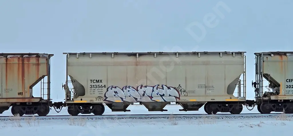 TCMX313564 - NORTH-AMERICA