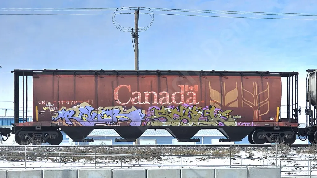 CN111676 - NORTH-AMERICA