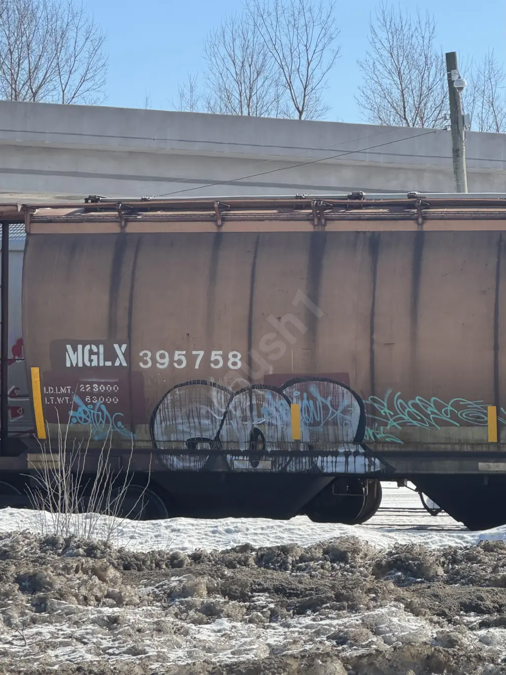MGLX395758 - NORTH-AMERICA