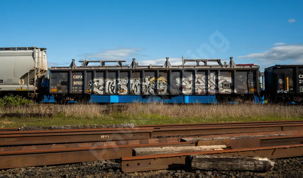 CEFX30123 - NORTH-AMERICA