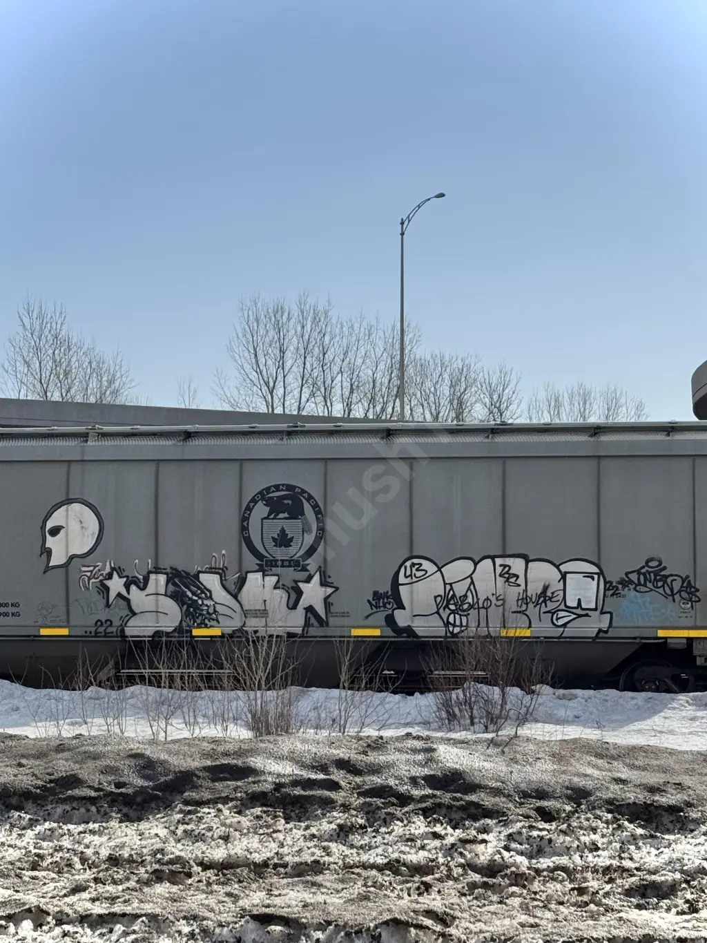 CP650868 - NORTH-AMERICA