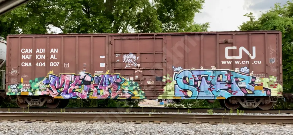 CNA404807 - NORTH-AMERICA