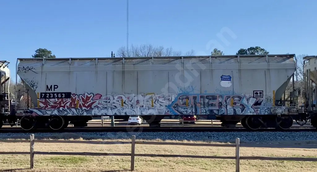 MP723563 - NORTH-AMERICA