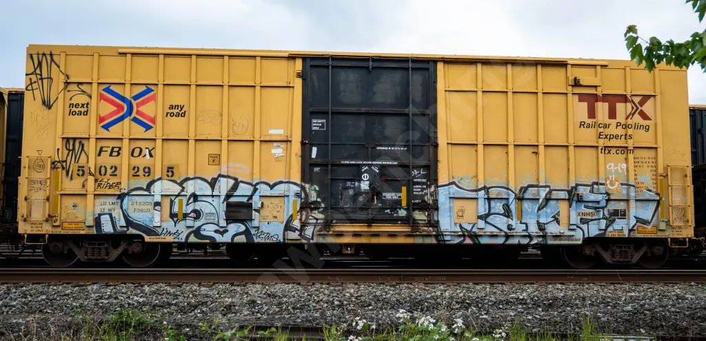 FBOX502295 - NORTH-AMERICA
