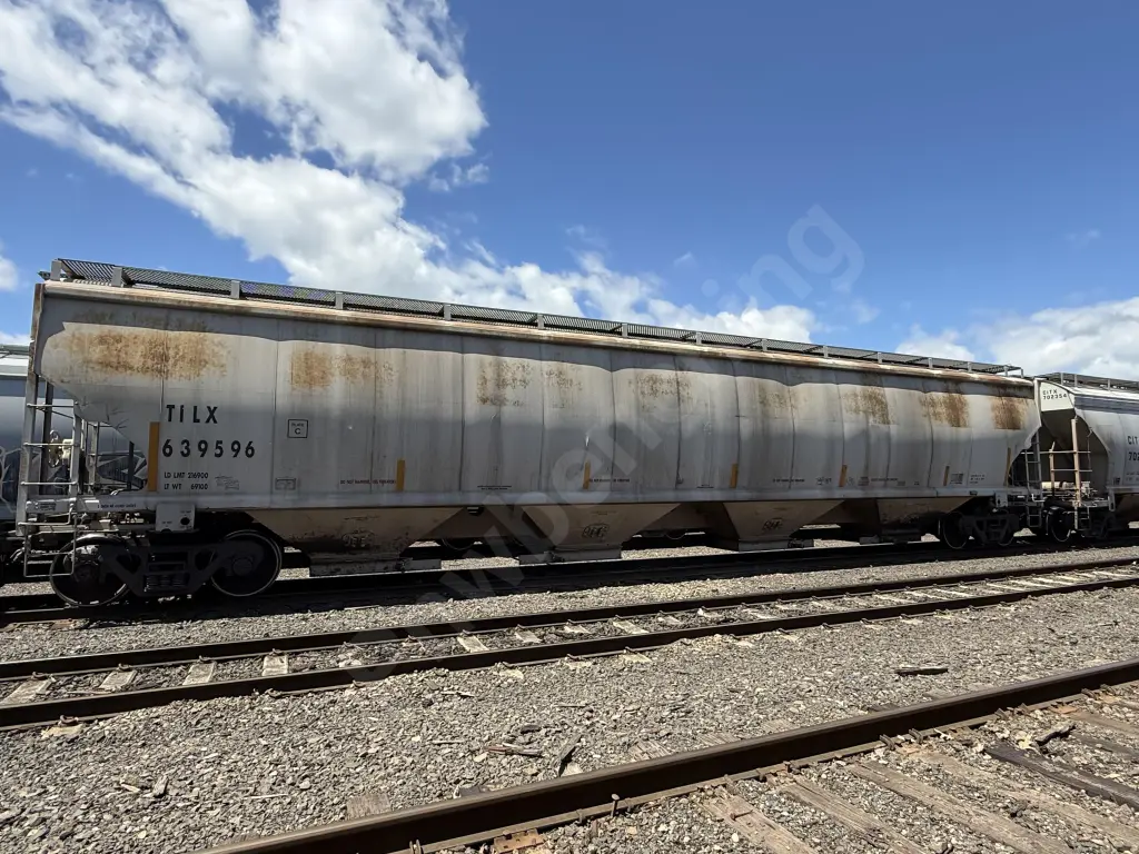 TILX639596 - NORTH-AMERICA