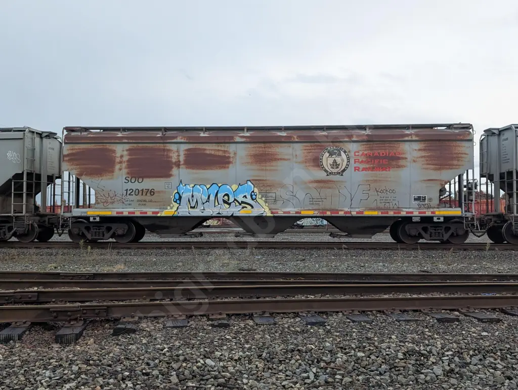 SOO120176 - NORTH-AMERICA