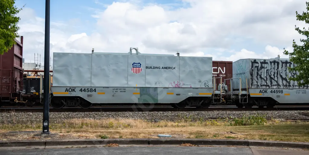 AOK44584 - NORTH-AMERICA
