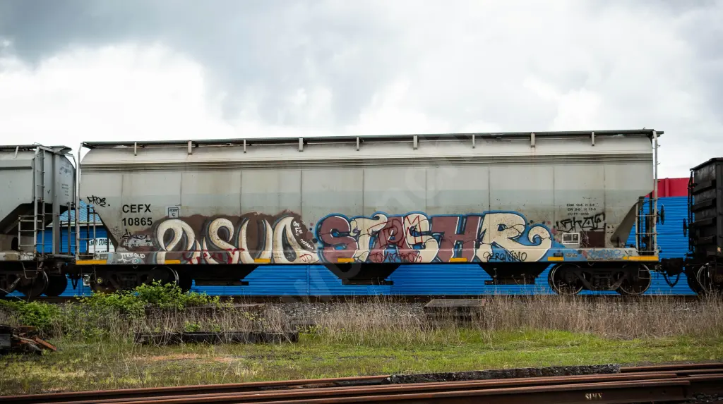 CEFX10865 - NORTH-AMERICA