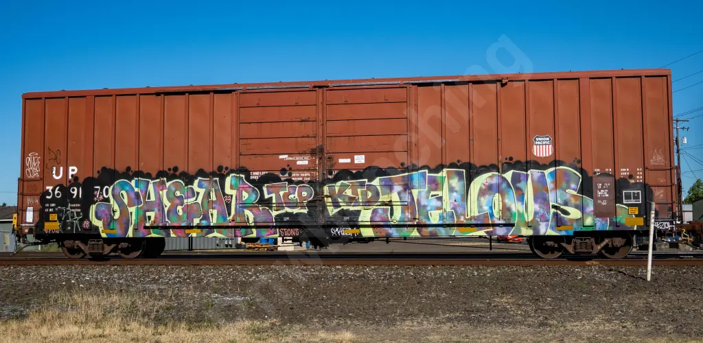 UP369170 - NORTH-AMERICA