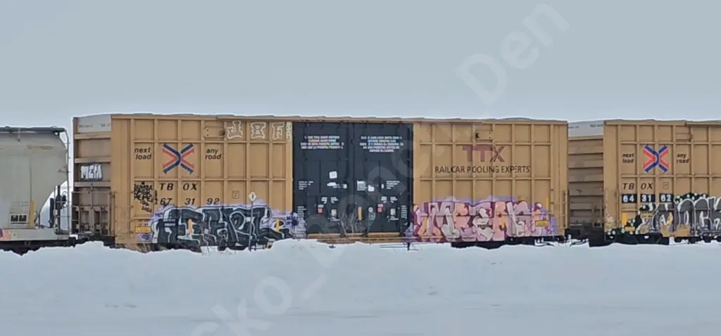 TBOX673192 - NORTH-AMERICA