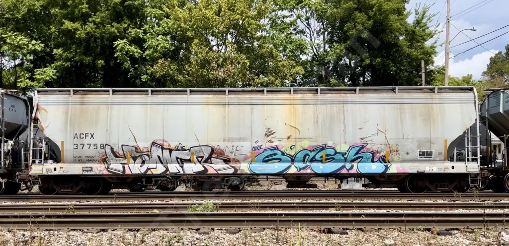 ACFX37758 - NORTH-AMERICA