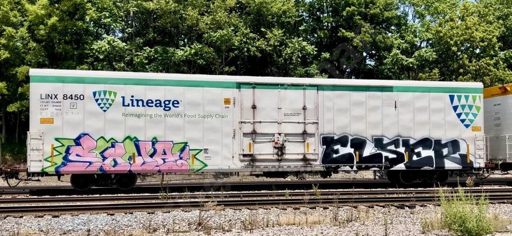 Train photo