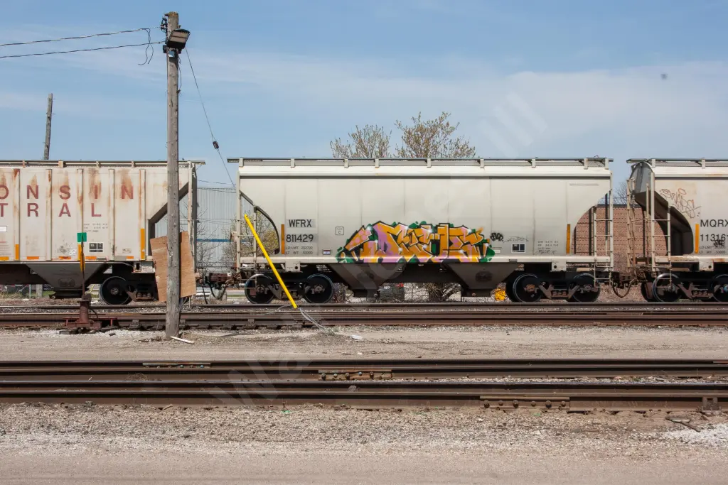 WFRX811429 - NORTH-AMERICA