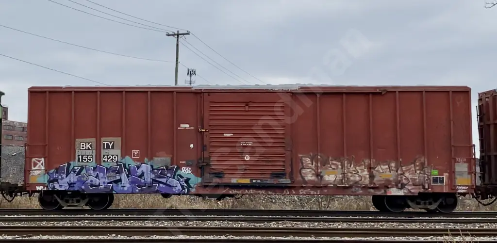 BKTY155429 - NORTH-AMERICA