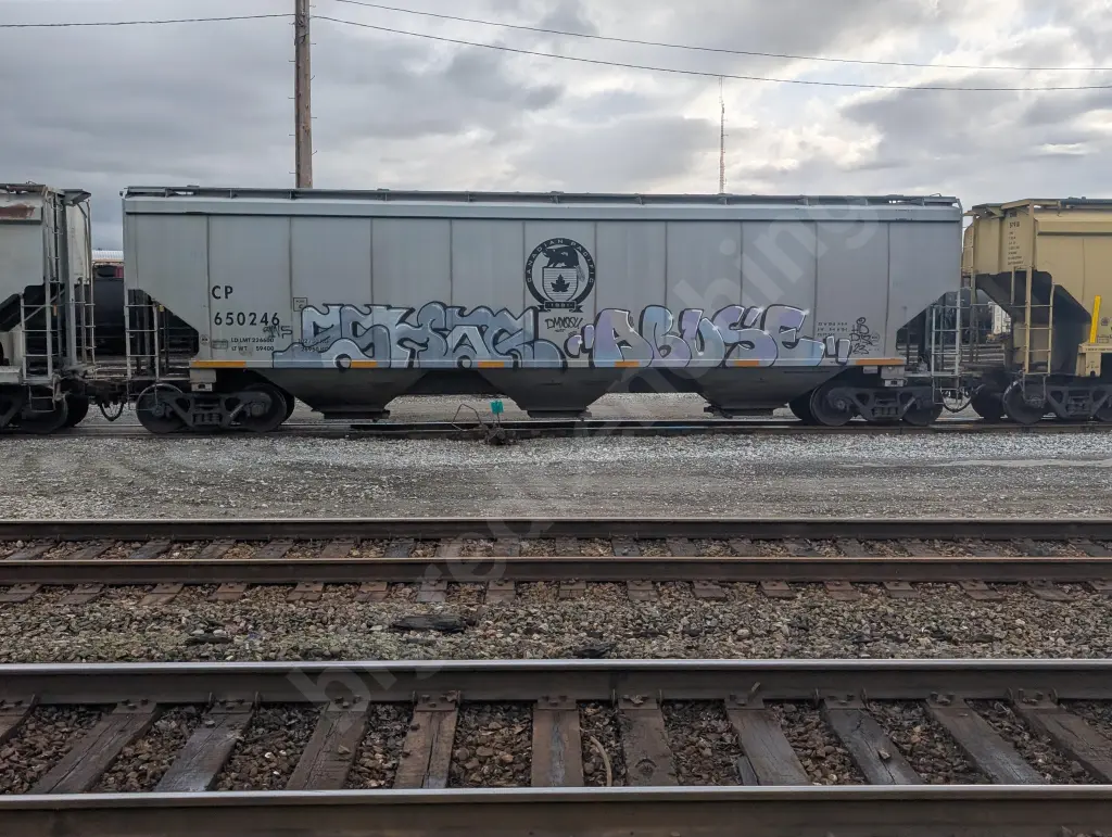 CP650246 - NORTH-AMERICA