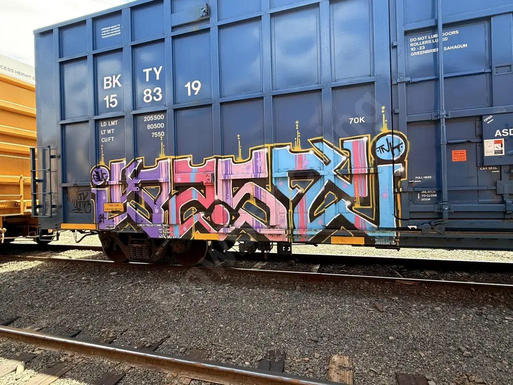 BKTY158319 - NORTH-AMERICA