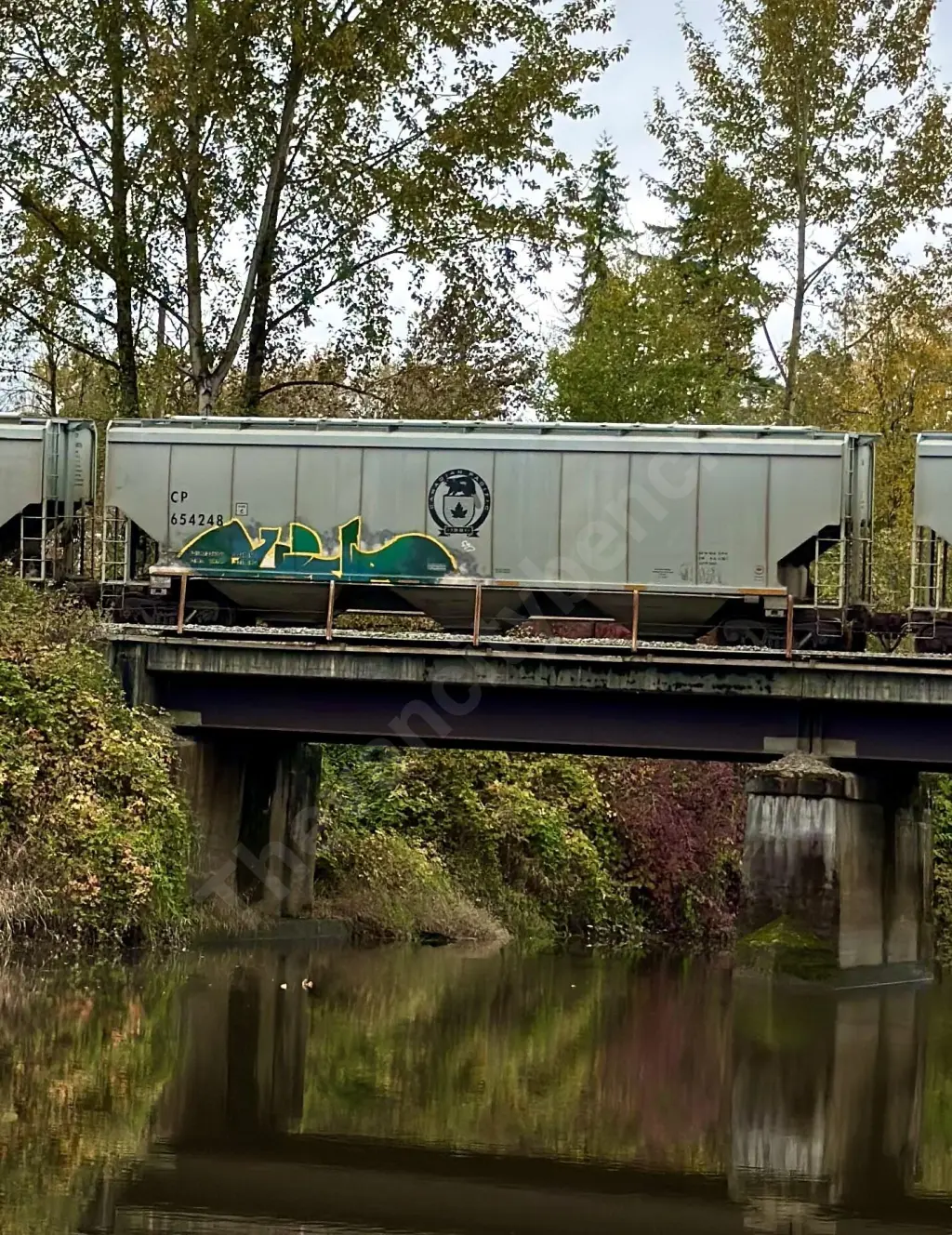 CP654248 - NORTH-AMERICA